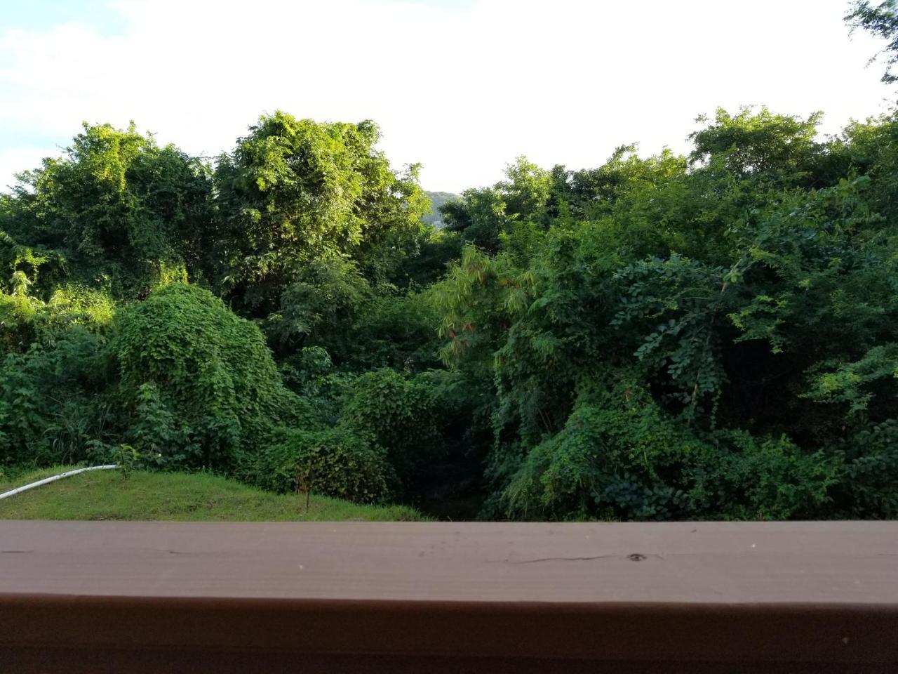 Keep Cool Guesthouse Gros Islet Ngoại thất bức ảnh